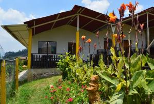 een huis met een paraplu in een tuin bij La Nueva Granja Hospedaje Rural in Tibasosa