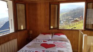 1 Schlafzimmer mit 2 Betten und 2 Fenstern in der Unterkunft Chalet avec terrasse et vue sur le Mt-Blanc in Sallanches