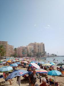 Plaża w apartamencie lub w pobliżu