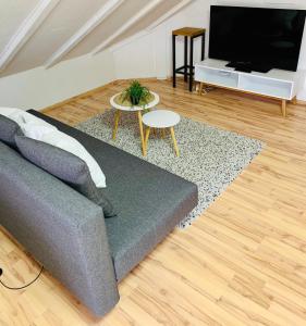 ホンブルクにあるStudio Apartment in direkter Nähe zur Uniklinik Homburgのリビングルーム(ソファ、テレビ付)