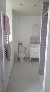 a white bathroom with a toilet and a sink at Le Manoir du Gouverneur in Villedieu-le-Château
