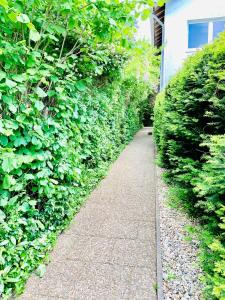 einen Pfad in einem Garten mit Hecke in der Unterkunft An der Uniklinik, Apartment mit eigener Küche und renoviertem Badezimmer, Zentrale Lage in Homburg