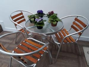 two chairs and a table with two plants on it at Casa da Praia in Itajaí