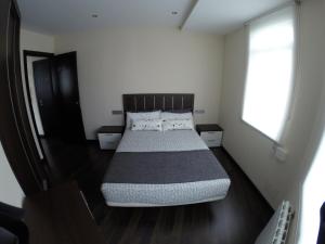 1 dormitorio con 1 cama grande en una habitación en Coqueto apartamento de 2 habitaciones en zona estación tren en A Coruña