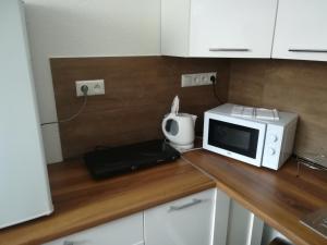 Dapur atau dapur kecil di Apartman pod lipami