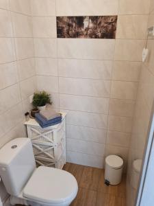 bagno con servizi igienici bianchi in camera di Morski Sen a Danzica