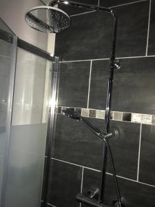 La salle de bains est pourvue d'une douche avec une porte en verre. dans l'établissement SAFARI DREAM, à Lille