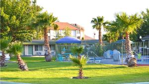 a group of palm trees in front of a house at Town House Motel in Lancaster