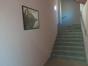 Bilde i galleriet til Astra i Bečej