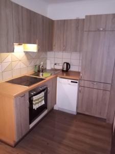 Kuchyň nebo kuchyňský kout v ubytování Apartmany Lend