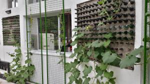 a vertical garden on the side of a building with plants at Hostel Casa de artistas Multiespacio Tanti in Tanti