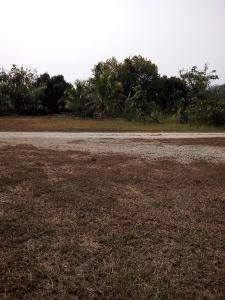 an empty dirt road with trees in the background at Tent KONOK in Ban Huai Dua