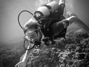 a person is diving in the ocean on a reef at Alegria Dive Resort in Alegria