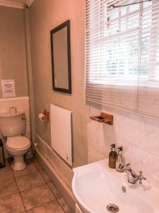 a bathroom with a sink and a toilet at Pennygum Country Cottages in Underberg