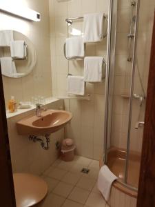 a bathroom with a sink and a shower at Hotel zum Mückenberger Hof in Lauchhammer