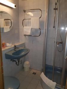 a bathroom with a blue sink and a shower at Hotel zum Mückenberger Hof in Lauchhammer