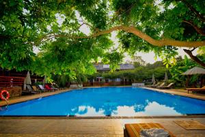 a large blue swimming pool under a tree at Hotel 4 U Saliya Garden in Anuradhapura