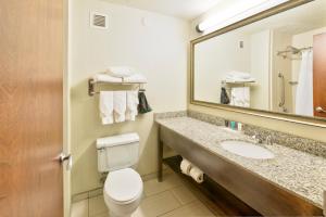 a bathroom with a toilet, sink, and mirror at Crowne Plaza Indianapolis-Dwtn-Union Stn, an IHG Hotel in Indianapolis
