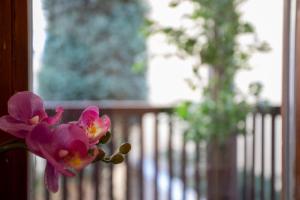 Fotografie z fotogalerie ubytování Nice Old Town Apartment v destinaci Hall in Tirol