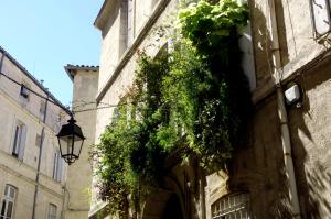 un accès à un bâtiment avec des plantes sur lui dans l'établissement "Chambre d'Autres", massages, à Montpellier