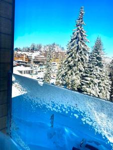 Blick auf einen schneebedeckten Wald aus einem Fenster in der Unterkunft Alpin Apartments Jahorina in Jahorina
