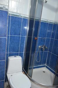 a blue tiled bathroom with a toilet and a shower at Hotel Kezdesu in Almaty