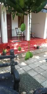 Κήπος έξω από το Ami place Rooms with Kitchen