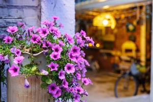 Imagine din galeria proprietății 伊莎貝爾花園民宿 în Wanqiao