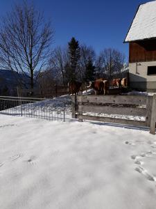Hinterramsebn during the winter
