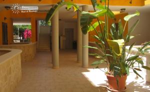 Kép Residence Marina di Carlino Tourist szállásáról Gallipoliban a galériában