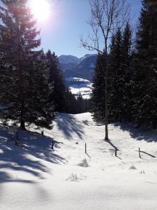 Hinterramsebn during the winter