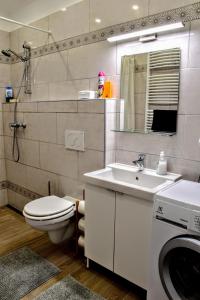 La salle de bains est pourvue de toilettes, d'un lavabo et d'un lave-linge. dans l'établissement Kéknefelejcs Vendégház, à Zalakaros