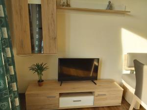 TV a/nebo společenská místnost v ubytování Haus Fernblick