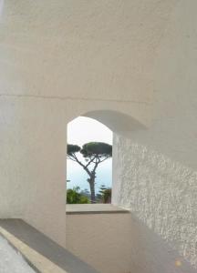 Fotografie z fotogalerie ubytování B&b 1787 in Montechiaro v destinaci Vico Equense