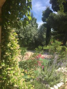 un jardin avec de nombreuses fleurs et arbres différents dans l'établissement Le Loft des Artistes, à Arles