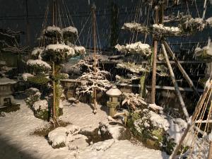 冬のRelaxing house de Akemiの様子