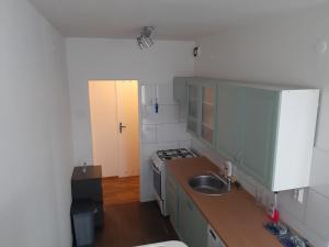 a small kitchen with a sink and a stove at Prague apartment in Most near Golf club, aqua-hipo-autodrom in Most in Most