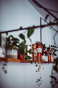 a couple of shelves with plants on them at Hotel Monsieur Helder in Paris