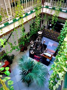 a living room filled with lots of plants and furniture at Hostal Lis in Seville