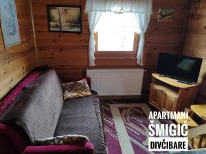 TV o dispositivi per l'intrattenimento presso Apartmani Smigic Divcibare