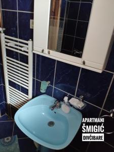 Kupatilo u objektu Apartmani Smigic Divcibare