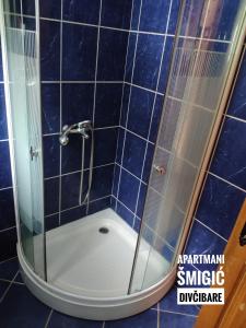 La salle de bains est pourvue d'une douche avec une porte en verre. dans l'établissement Apartmani Smigic Divcibare, à Divčibare