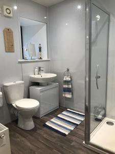 a bathroom with a toilet and a sink and a shower at The Steamboat - A Flat with Amazing Harbour Views in Wick