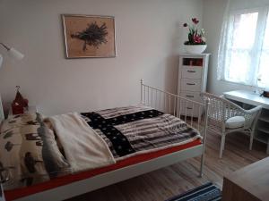 1 dormitorio con cama, escritorio y silla en B&B Im Bitzi, en Zuzwil