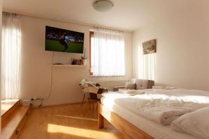 a bedroom with a bed and a tv on the wall at Vitkov Park Apartment in Prague