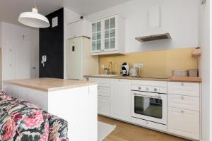 Kuchyňa alebo kuchynka v ubytovaní Rozłogi Sunny Apartment