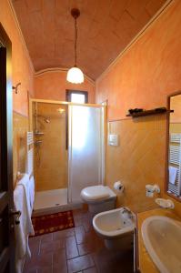 uma casa de banho com um chuveiro, um WC e um lavatório. em Agriturismo La Casella em Castelfranco di Sopra