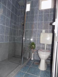 a bathroom with a toilet and a glass shower at Pension Eden in Băile Herculane