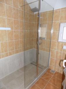 y baño con ducha y puerta de cristal. en Pension Eden, en Băile Herculane