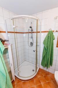 Bilik mandi di Ferienhaus Pilch Hiasl